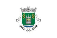 Bandera de Sarzedo (Covilhã)