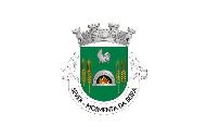 Bandera de Sever (Moimenta da Beira)