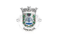 Bandera de Tamengos