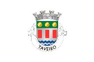 Bandera de Taveiro