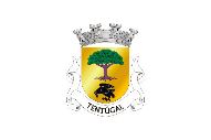 Bandera de Tentúgal