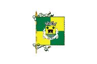 Bandera de Tocha