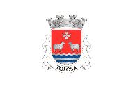 Bandera de Tolosa (Nisa)