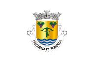 Bandera de Tondela (freguesia)