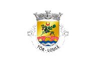 Bandera de Tôr