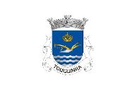 Bandera de Touguinha