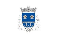 Bandera de Touro (Vila Nova de Paiva)