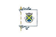 Bandera de Travanca (Oliveira de Azeméis)