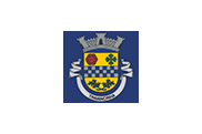 Bandera de Travancinha