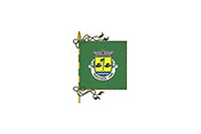 Bandera de Travassós (Fafe)