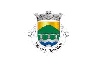 Bandera de Tregosa