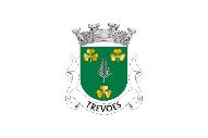 Bandera de Trevões