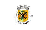 Bandera de Trofa (Águeda)