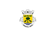 Bandera de Troviscal