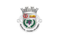 Bandera de Troviscal (Oliveira do Bairro)