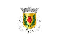 Bandera de Ucha
