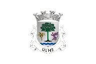 Bandera de Ulme