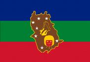 Bandera de Estado de Amazonas