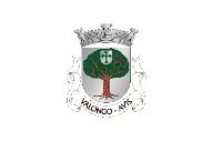 Bandera de Valongo (Avis)