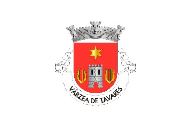 Bandera de Várzea de Tavares