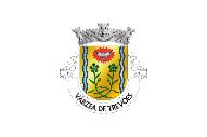 Bandera de Várzea de Trevões