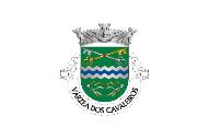 Bandera de Várzea dos Cavaleiros