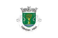 Bandera de Vermoim (Maia)