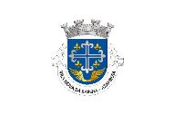 Bandera de Vila Nova da Rainha (Azambuja)