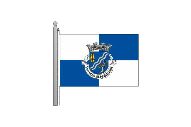 Bandera de Vila Nova de Monsarros