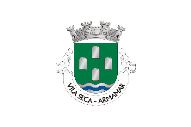 Bandera de Vila Seca (Armamar)