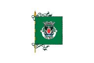 Bandera de Vila Verde (freguesia)