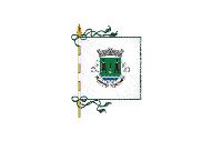 Bandera de Vilarinho de Samardã