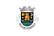 Bandera de Vouzela (freguesia)