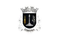 Bandera de Zebreira
