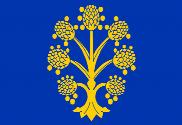 Bandera de Appleby-in-Westmorland, Westmorland