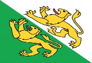 Bandera de Cantón de Turgovia