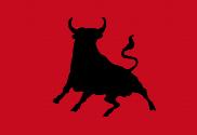 Bandera de Toro personalizada