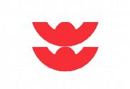 Bandera de Izumo (Shimane)