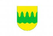 Bandera de Kainuu