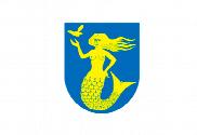 Bandera de Paijanne Tavastia,region finesa,finlandia,finland,suomi,finesa