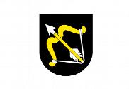 Bandera de Savonia del norte
