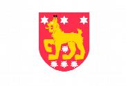 Bandera de Tavasnia