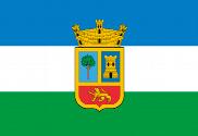 Bandera de El Espinar con escudo