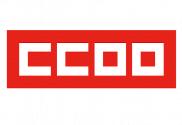 Bandera de CCOO