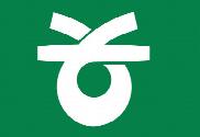 Bandera de Soja