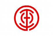 Bandera de Tamano