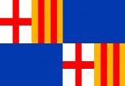 Bandera de Barceloneta Puerto Rico