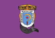 Bandera de Castelao feminista
