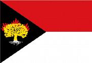 Bandera de Carbonero de Ahusín