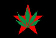 Bandera de Partido Internacional de la Juventud